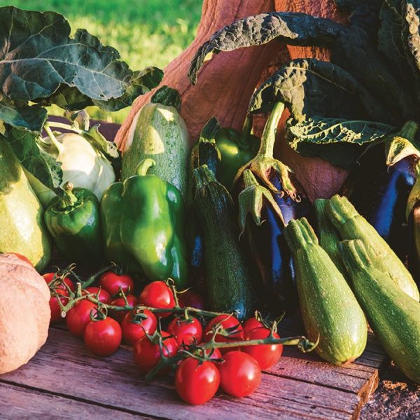 Prodotti dell'orto Agricola Villa Canali