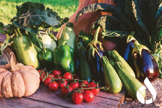 Prodotti dell'orto Agricola Villa Canali